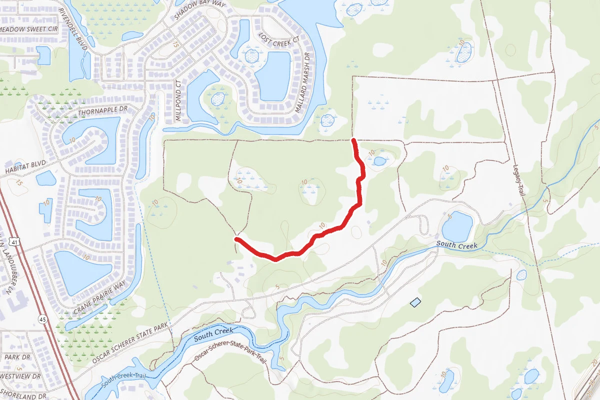 Black Trail