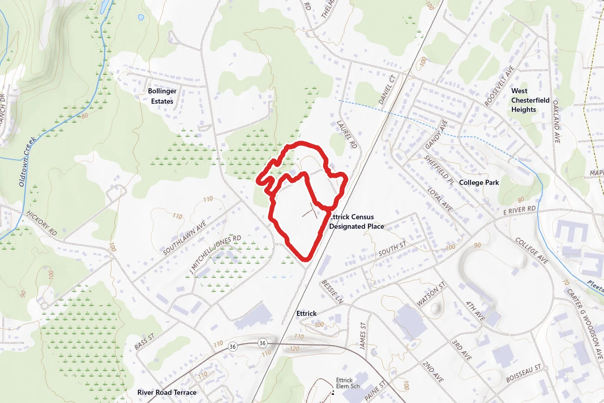Ettrick Park Paths