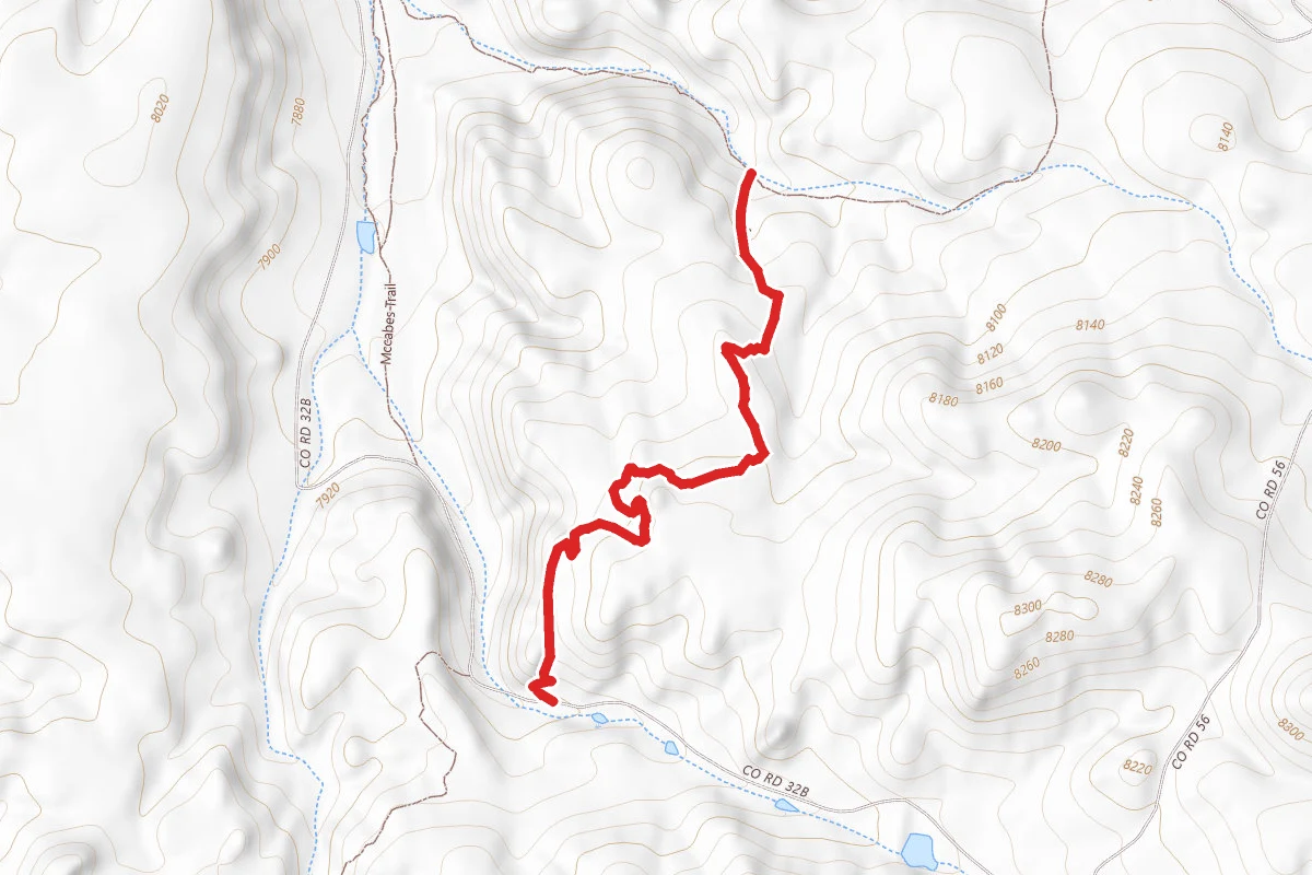 Dirty Sock Trail