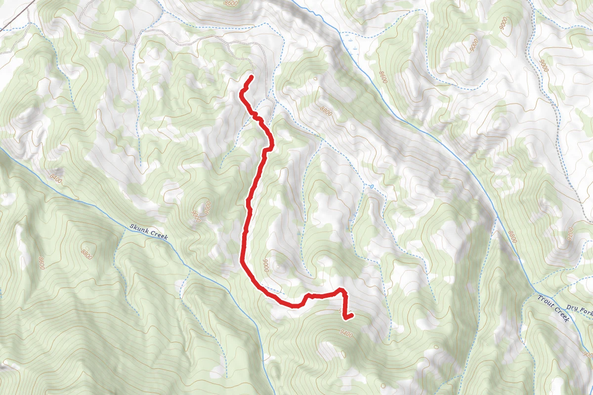 Skunk Creek Road