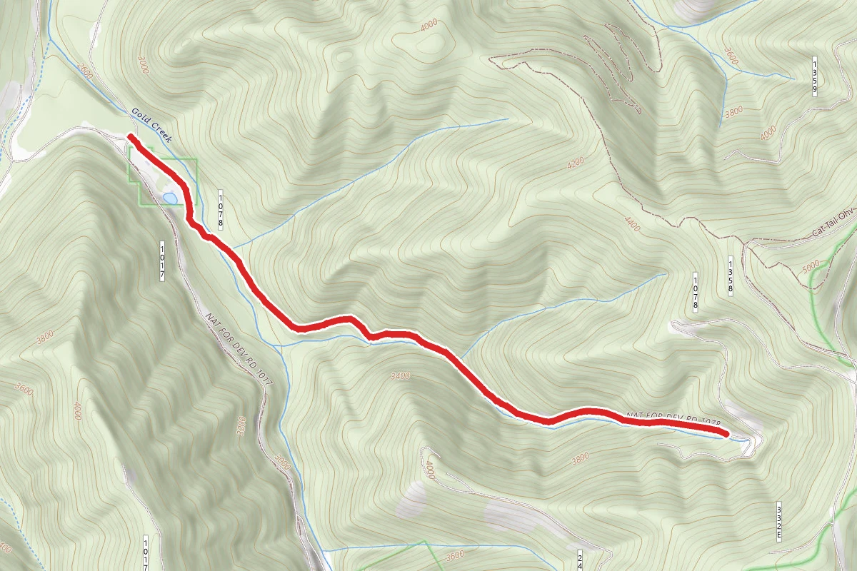 Silver Leaf Ohv