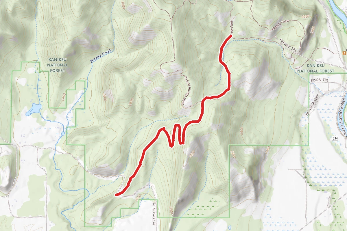 John Wayne Loop