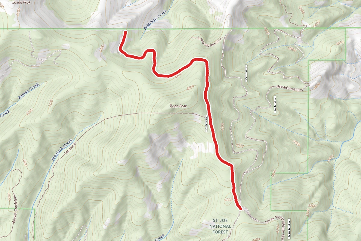 Upper Tyson Divide Ohv