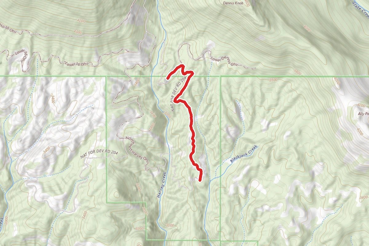 Black Jack Harvey Ohv