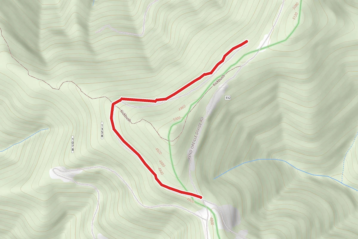 Cat Tail Ohv