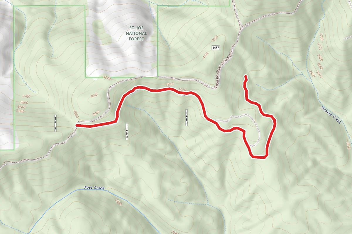Coke Can Ohv