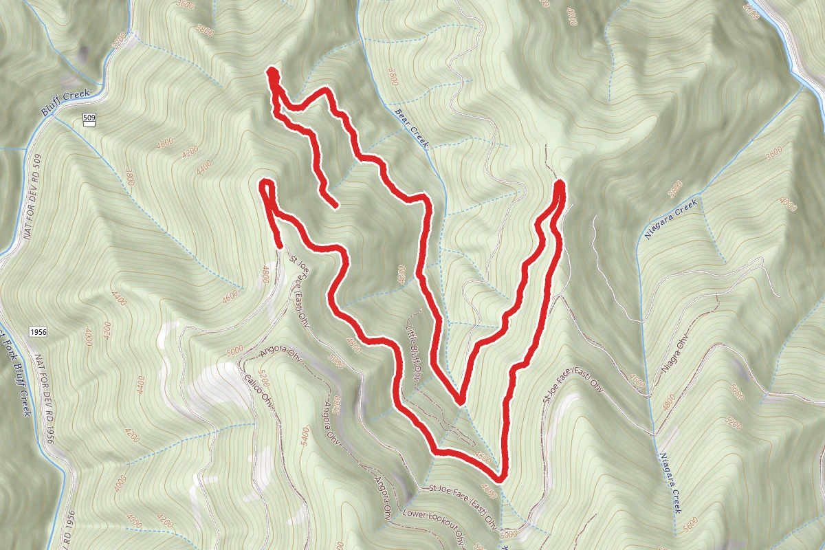 Bear Bluff Ohv