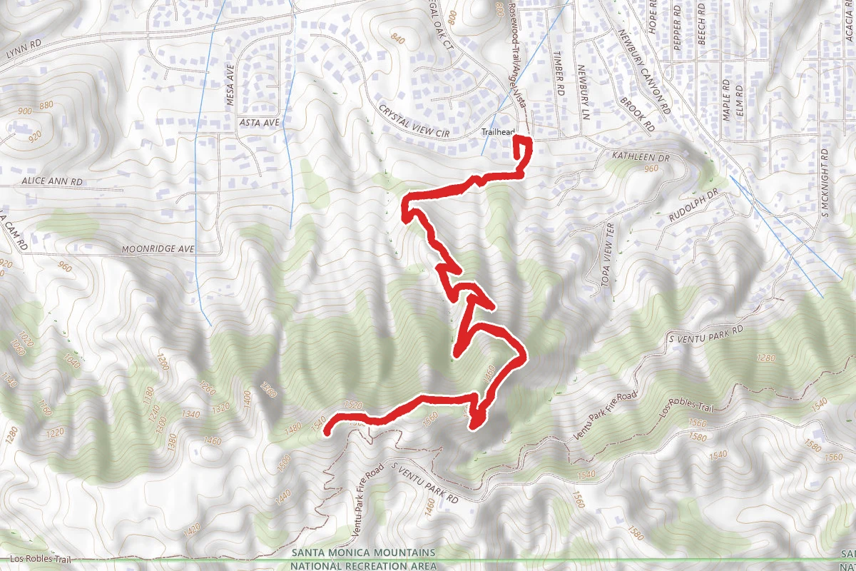 Angel Vista (Rosewood Trail)