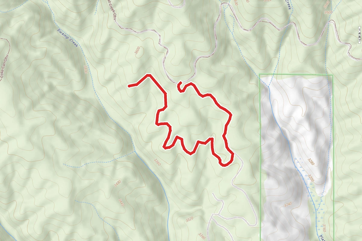 Swamp Ridge Ohv