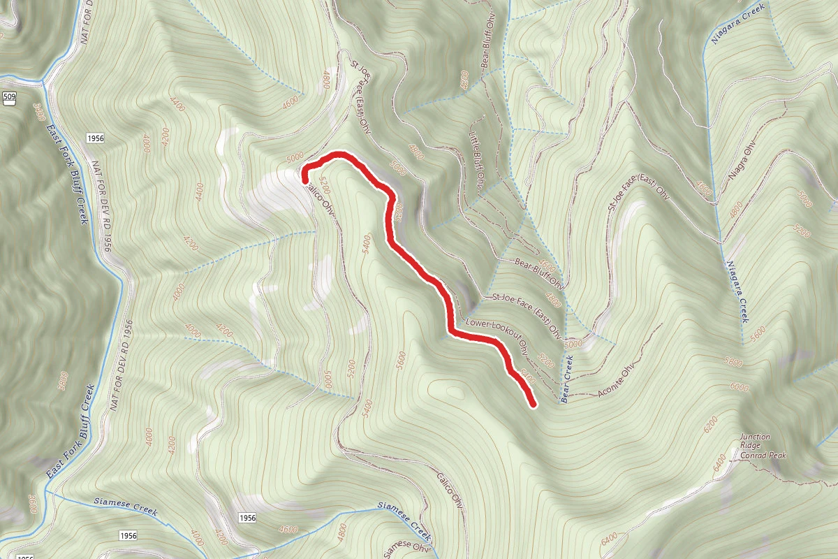 Angora Ohv