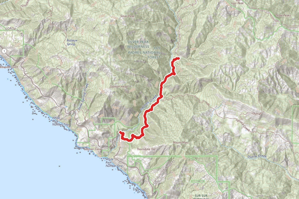 Salmon Creek Trail to Spruce and Estrella Camps