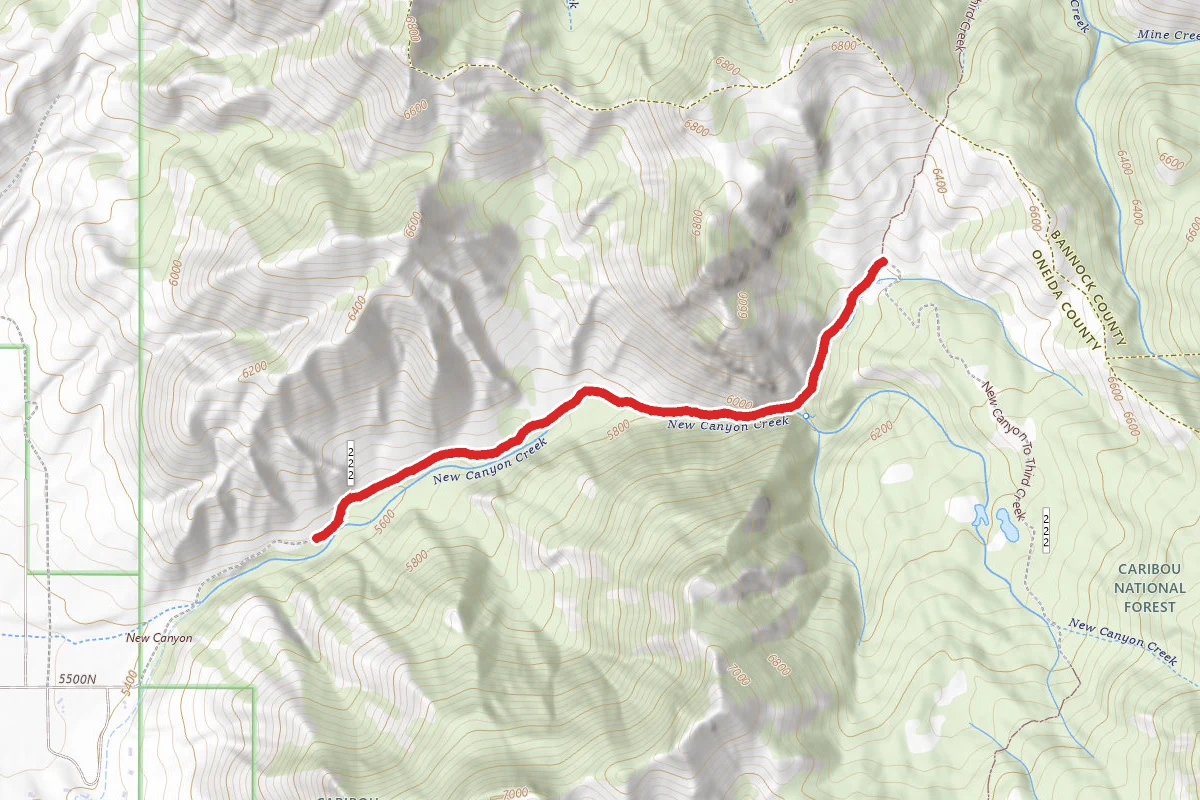 New Canyon