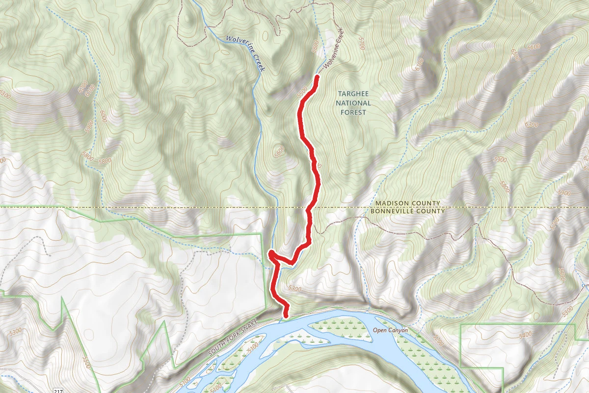 Wolverine Creek
