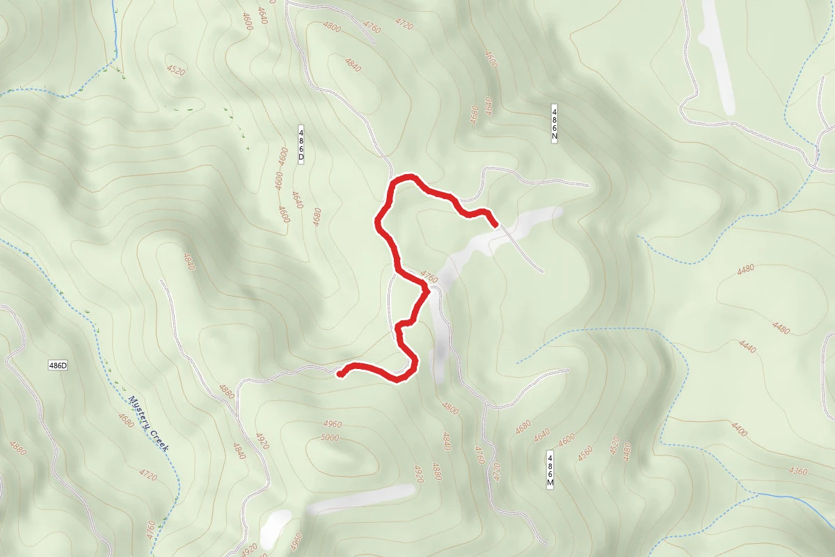 Mystery Creek