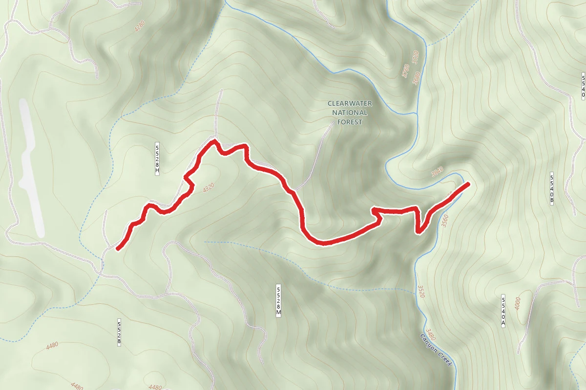 Mystery Creek