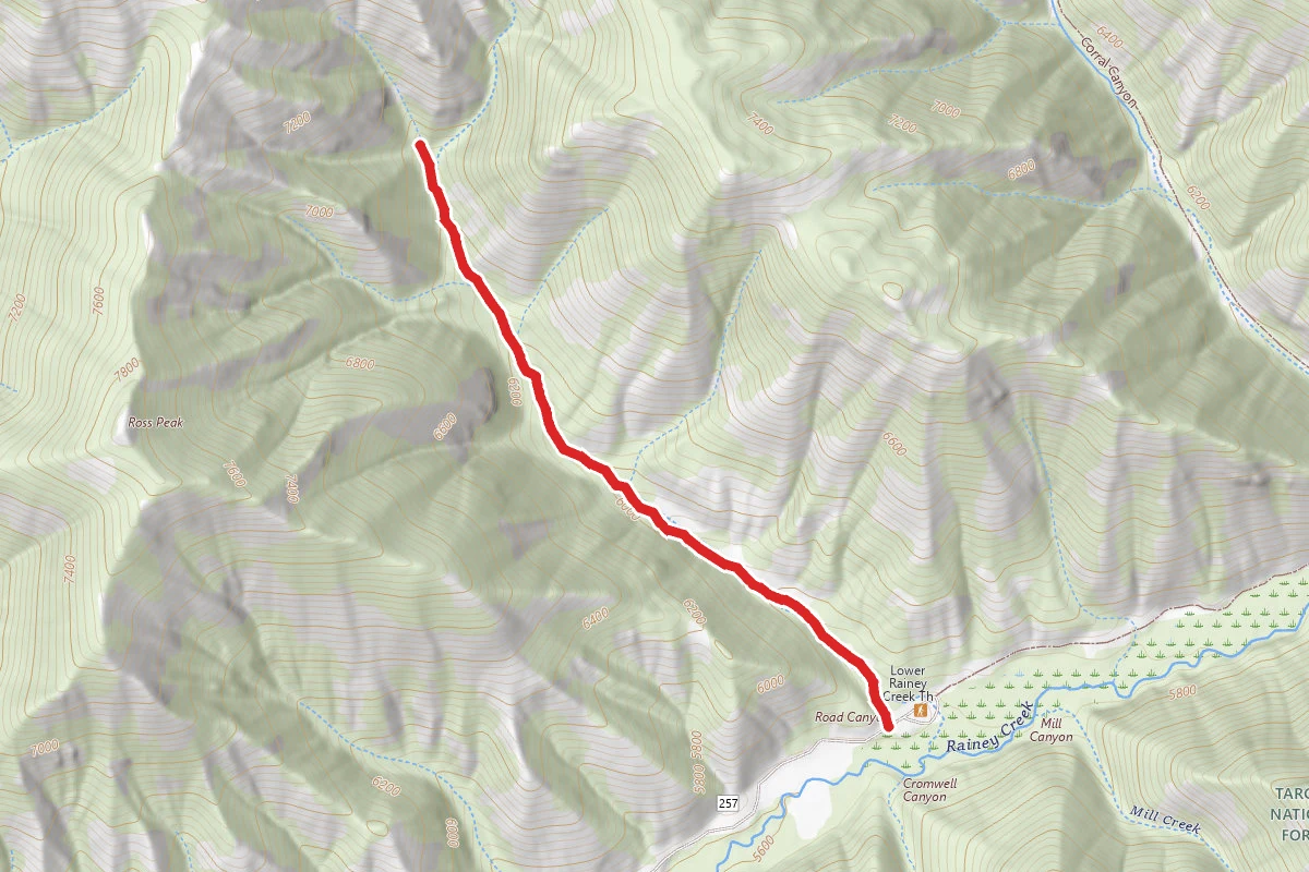 Road Canyon