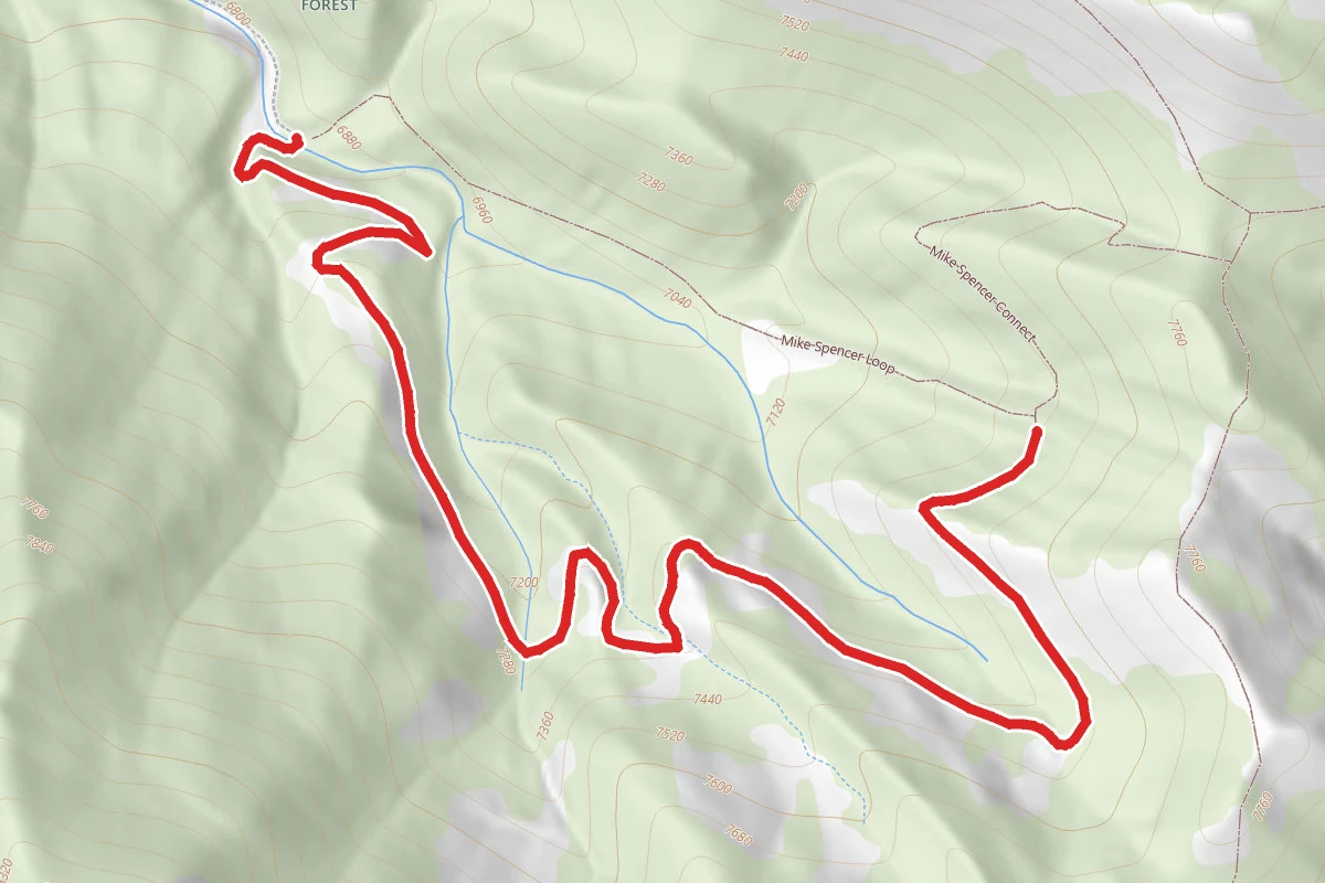 Mike Spencer Loop