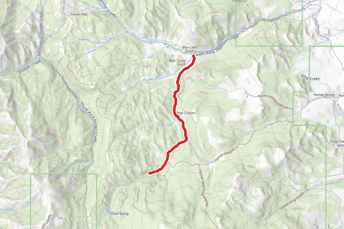Bear Camp Trail