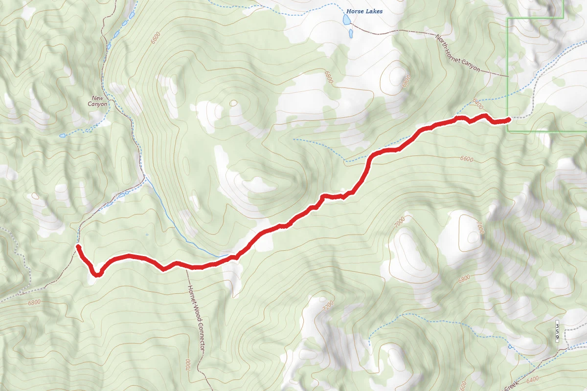 Hornet Canyon