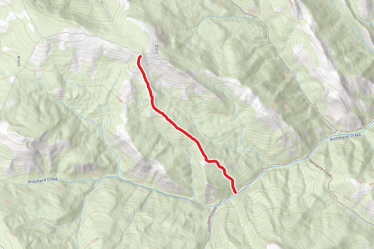 Pritchard/Nelson Creek