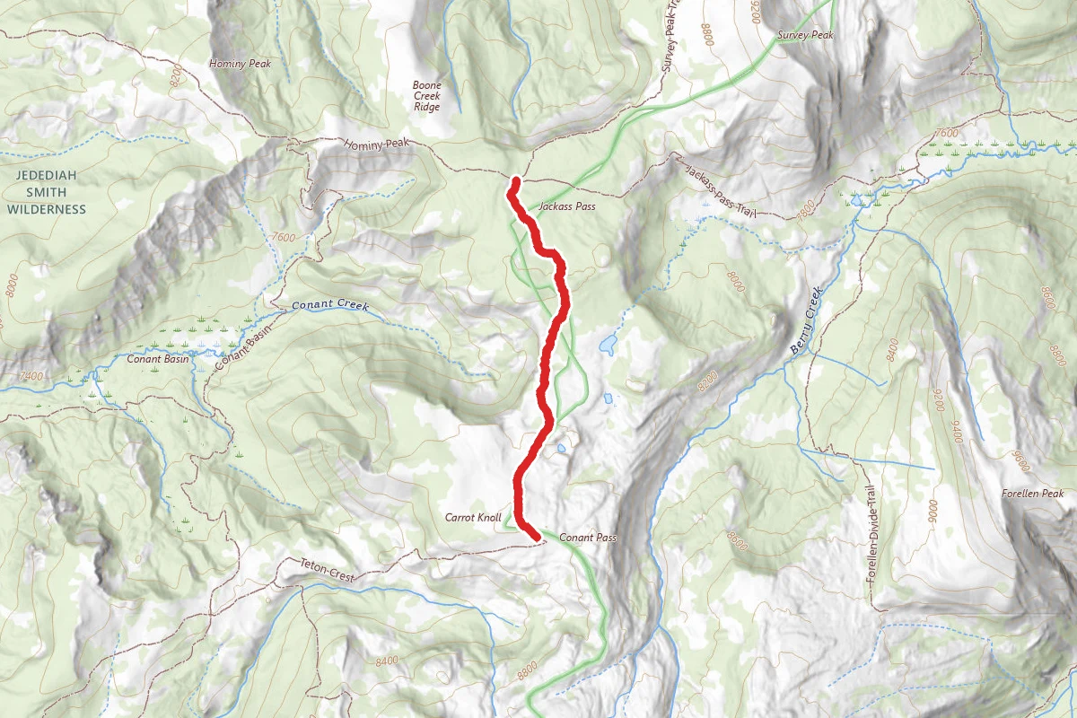 Conant Pass Trail