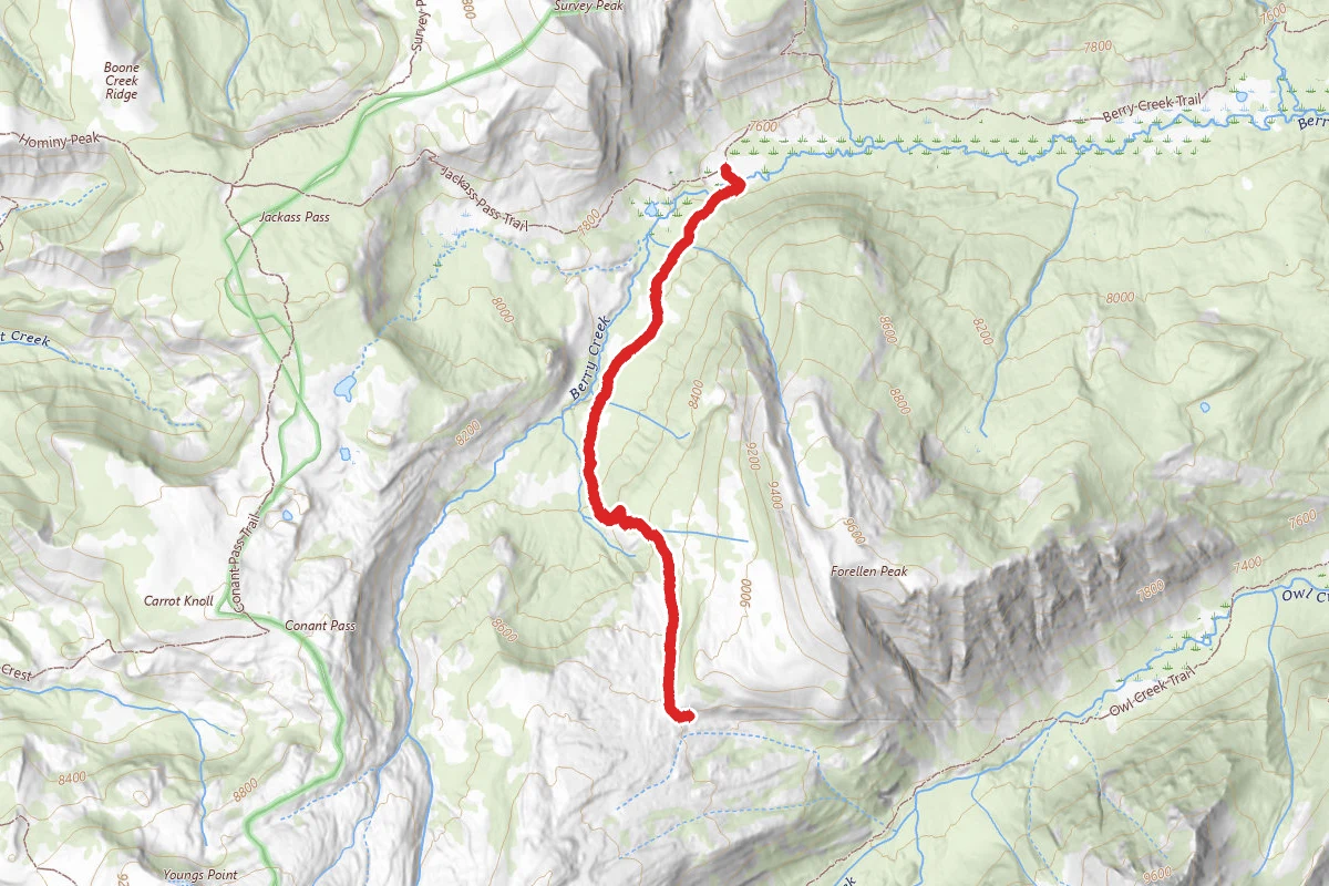 Forellen Divide Trail