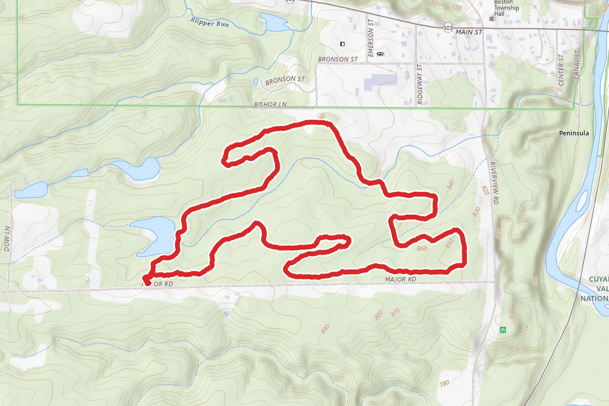 Tree Farm Trail