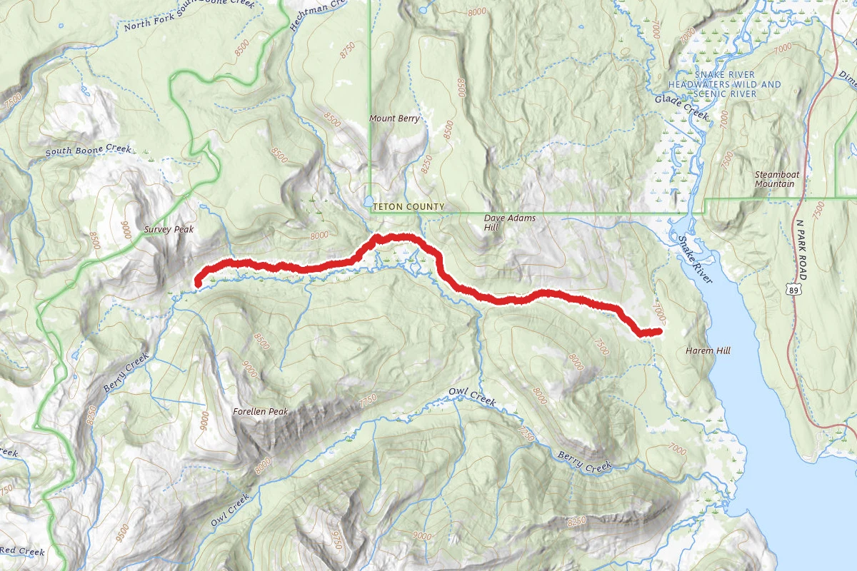 Berry Creek Trail