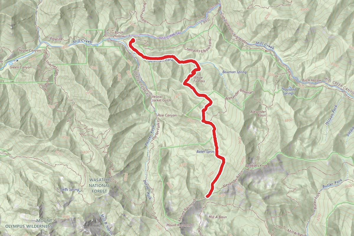 Bowman Fork Trail to Baker Pass