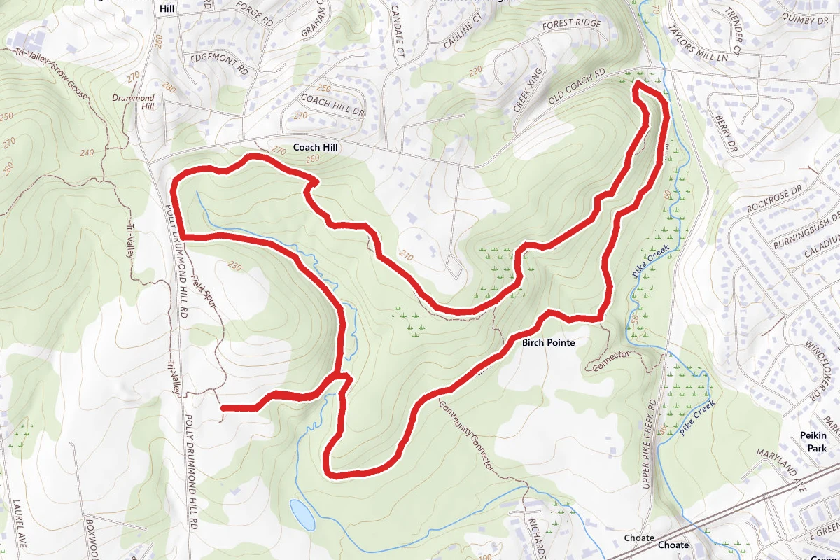 Chestnut Hill Trail