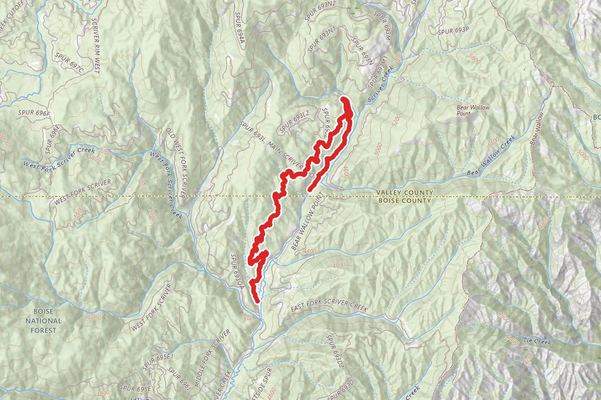 Main Scriver Loop