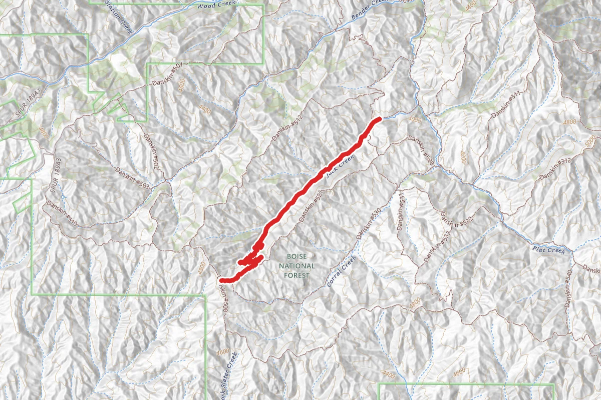 Danskin #520