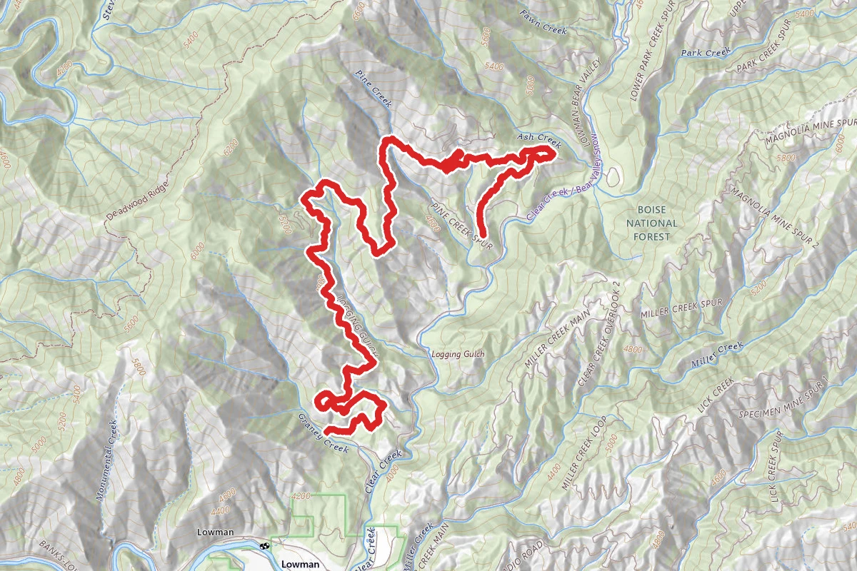 Logging Gulch