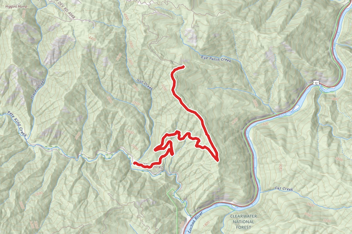 Pete King Ridge