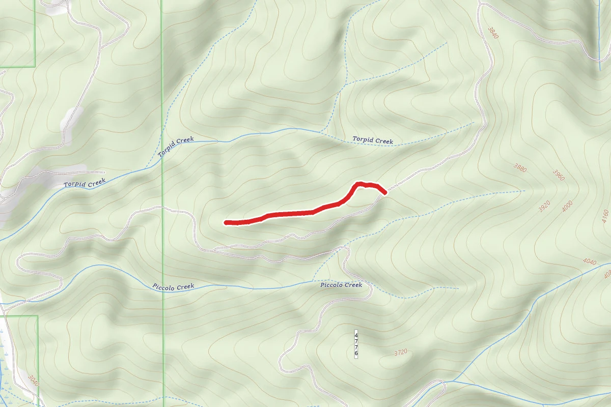 Piccolo Creek A