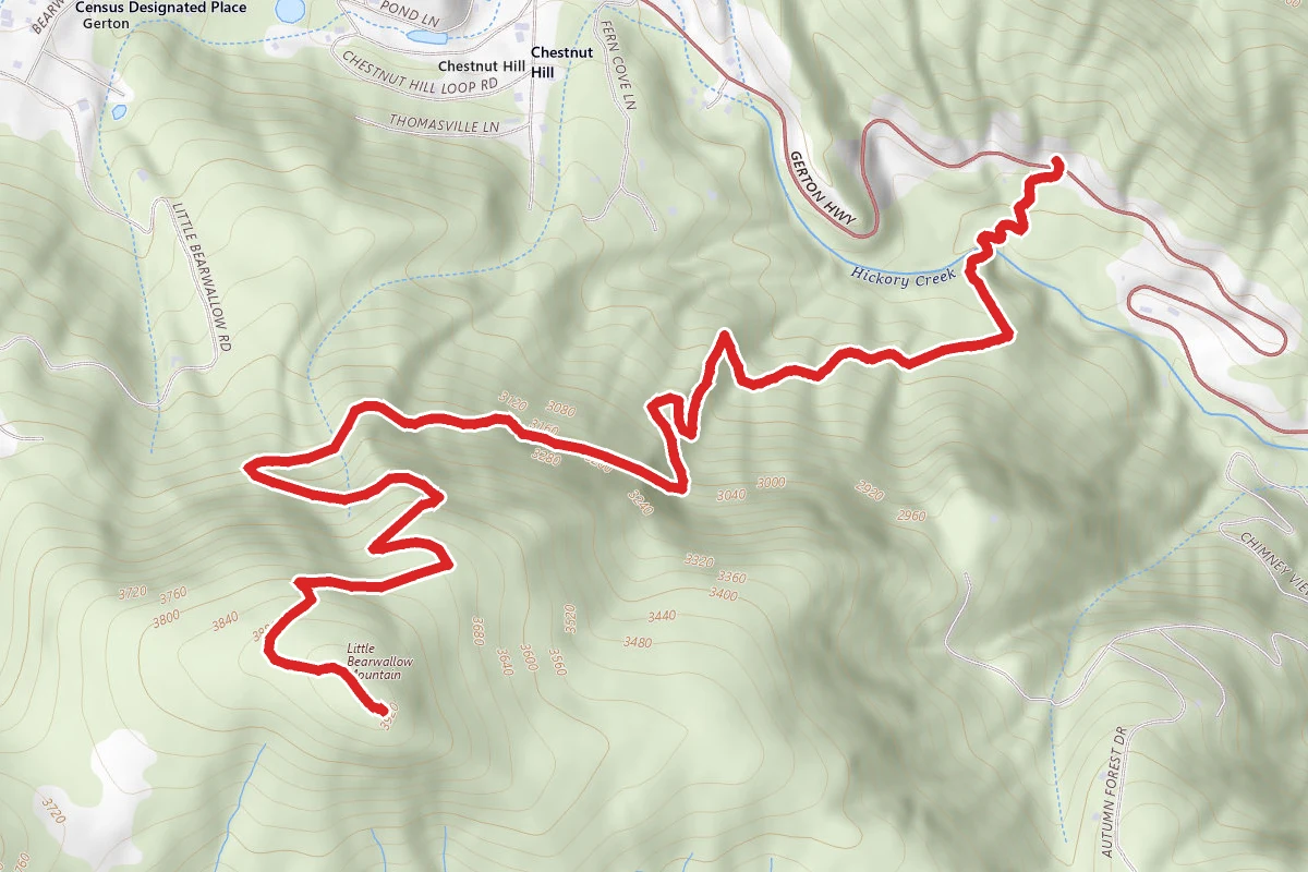 Little Bearwallow Mountain via Wildcat Rock Trail