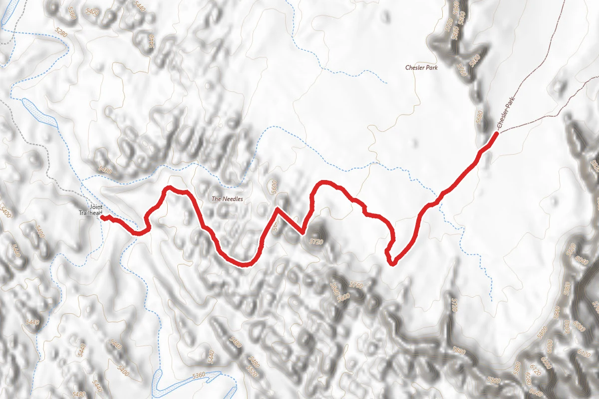 Joint Trail