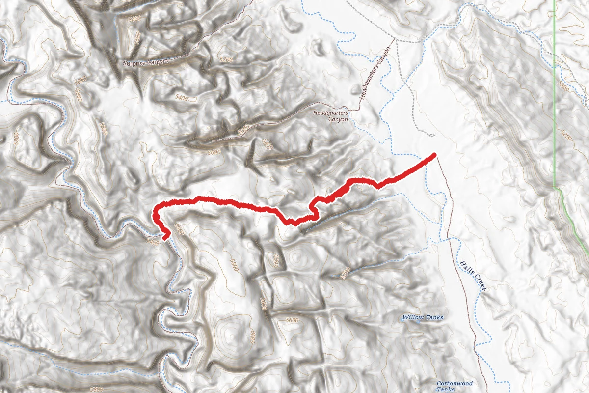 Lower Muley Cutoff
