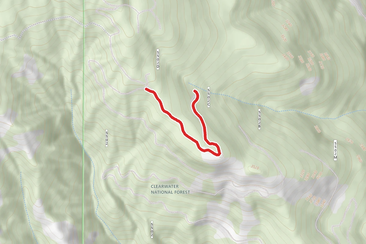 Border C
