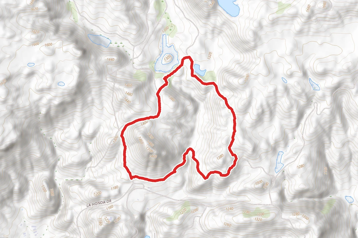 Middle Pond and East Ridge Loop