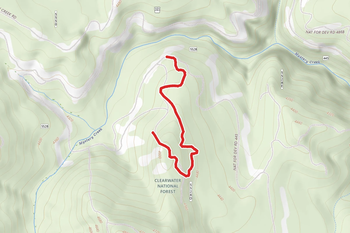 Mystery Creek D