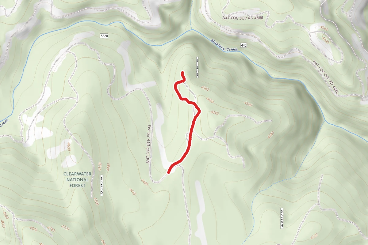 Mystery Creek E