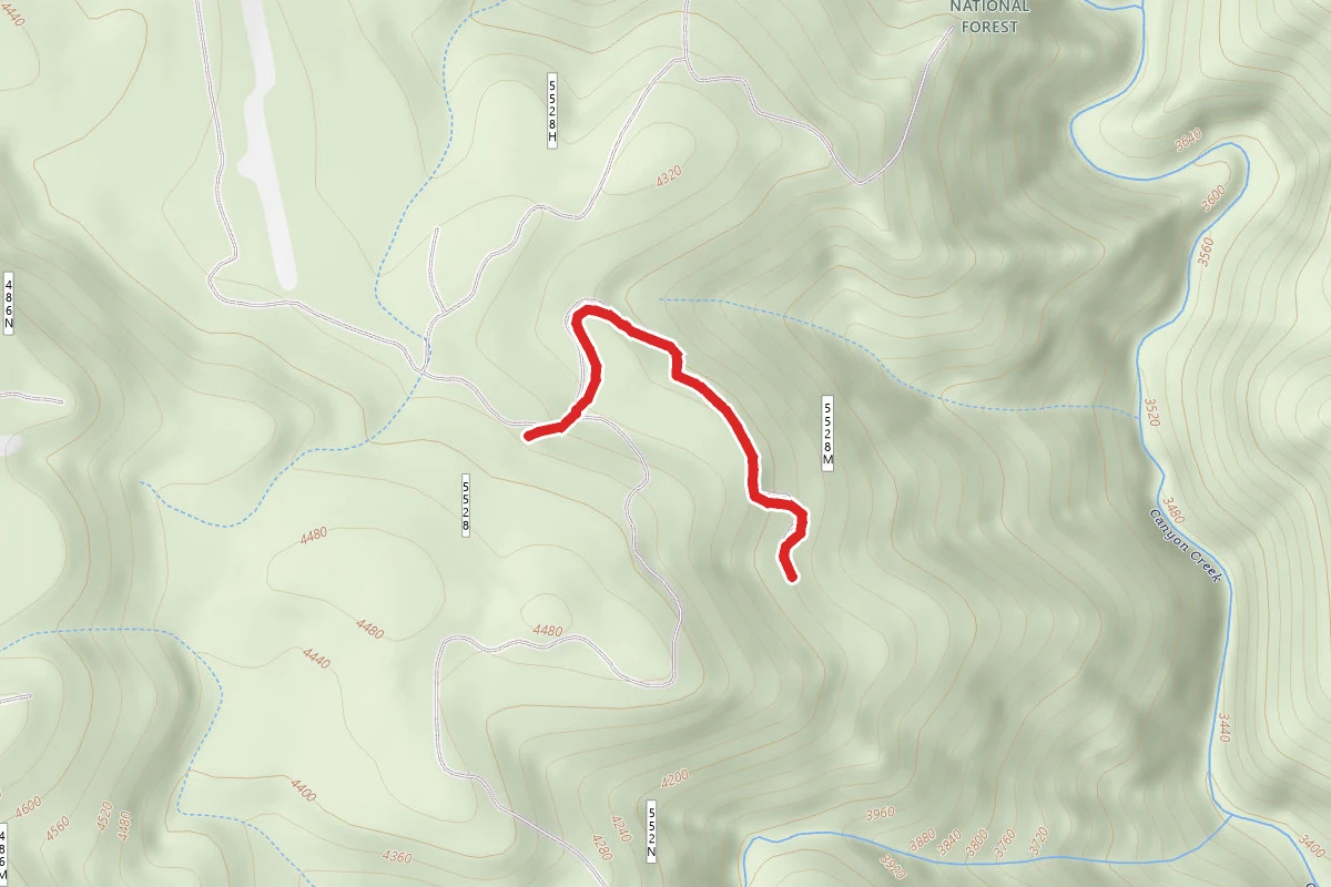 Mystery Creek M
