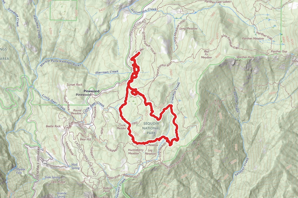 Giant Forest Loop Trail