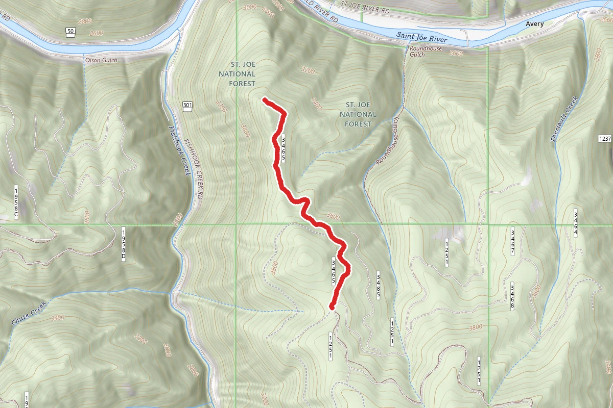 Roundhouse Gulch Ohv