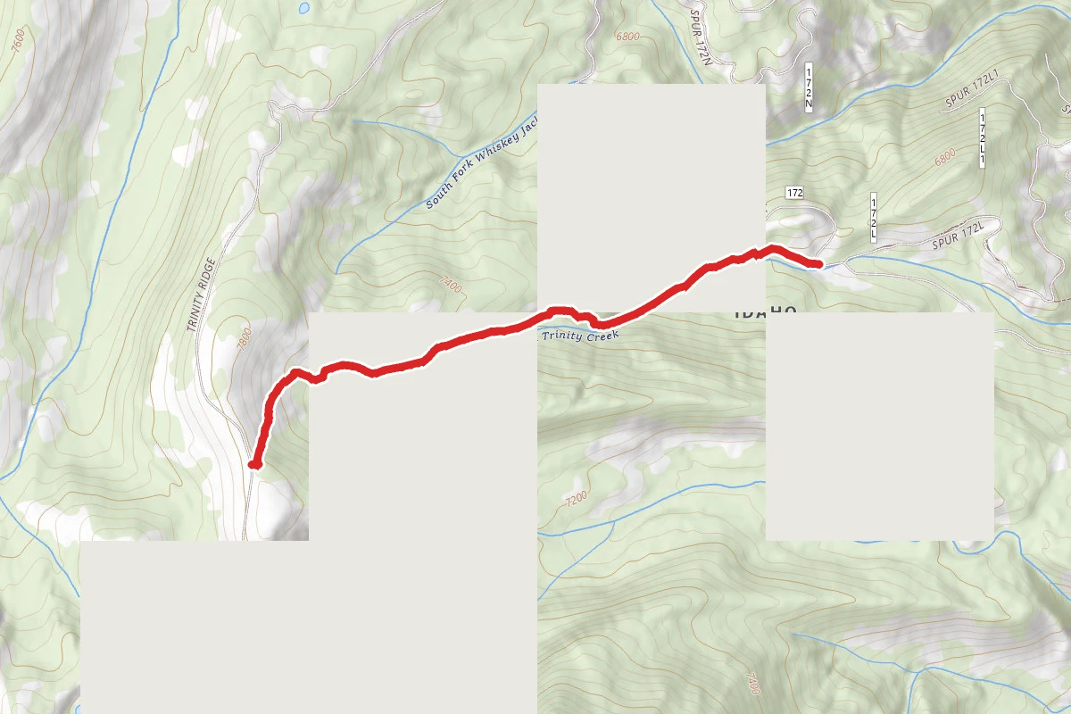 Trinity Creek Upper