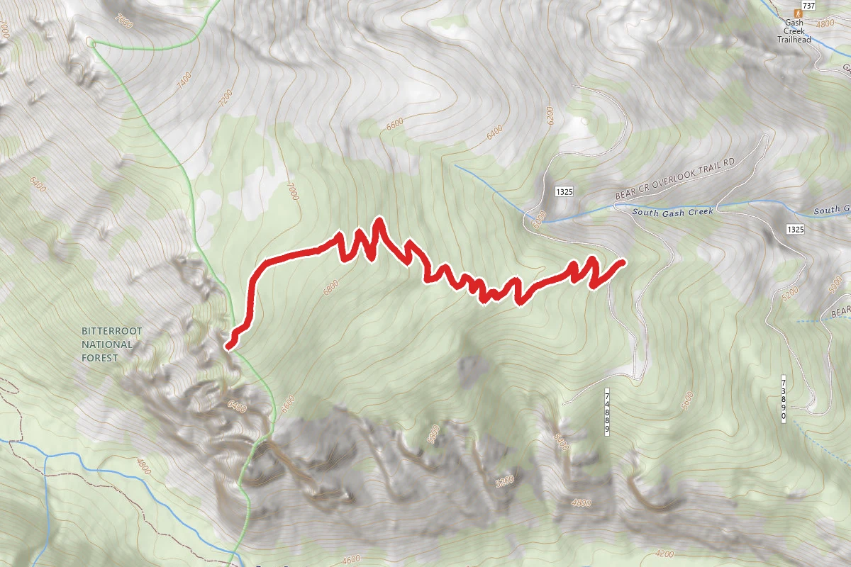 Bear Creek Overlook Trail