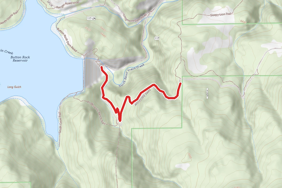Sleepy Lion Trail