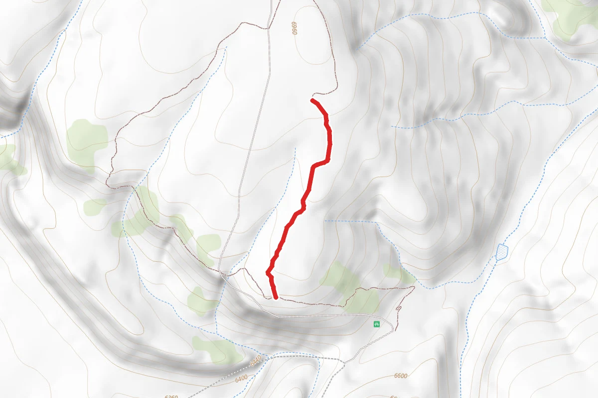 Vista Trail