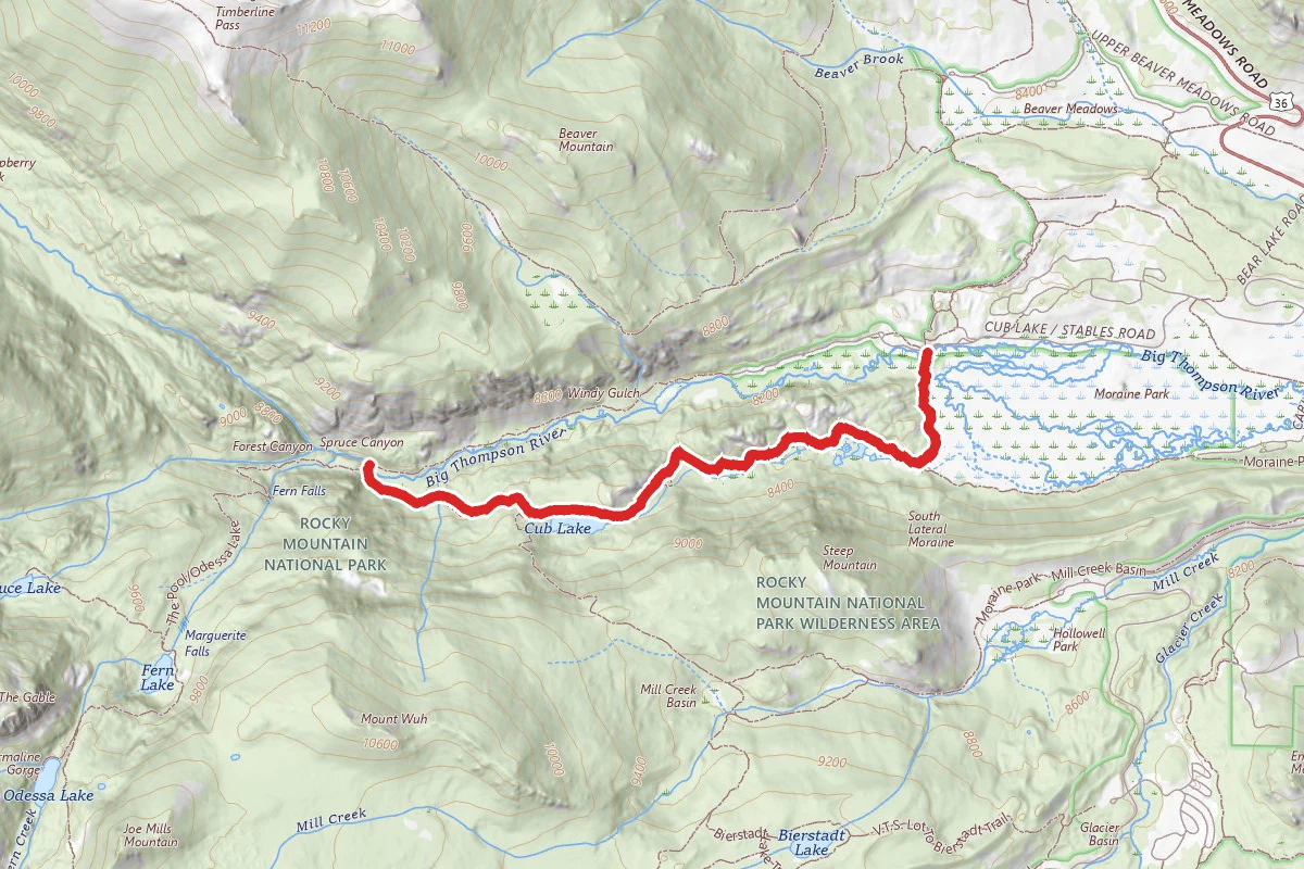 Cub Lake Trail